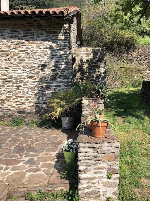 Maison Rurale Au Coeur Des Cevennes Ardechoises Dompnac Экстерьер фото