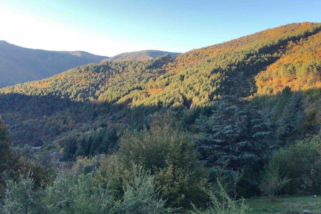 Maison Rurale Au Coeur Des Cevennes Ardechoises Dompnac Экстерьер фото